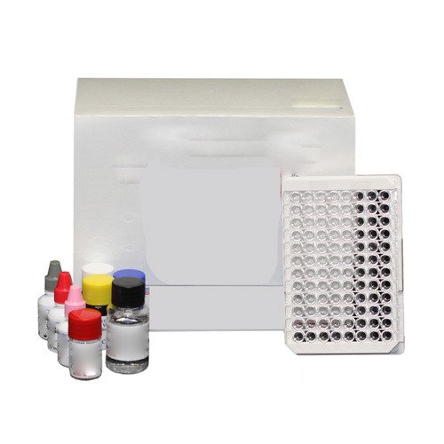 ELISA Kits